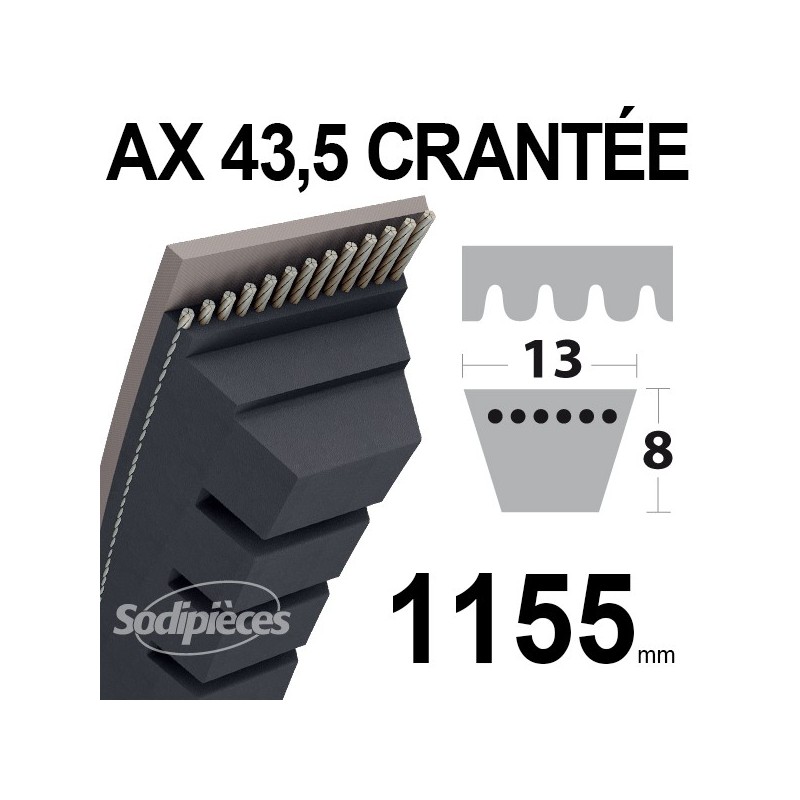 Courroie tondeuse AX43,5 Trapézoïdale 13 mm x 1155 mm.