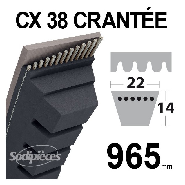 Courroie tondeuse CX38 Trapézoïdale 22 mm x 965 mm.