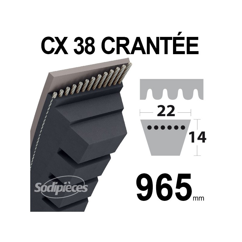 Courroie tondeuse CX38 Trapézoïdale 22 mm x 965 mm.