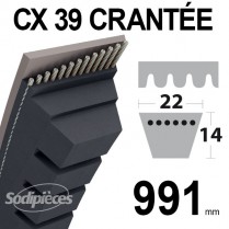 Courroie tondeuse CX39 Trapézoïdale 22 mm x 991 mm.