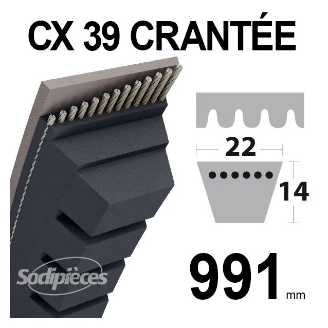 Courroie tondeuse CX39 Trapézoïdale 22 mm x 991 mm.