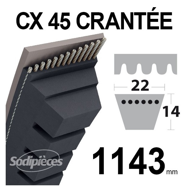 Courroie tondeuse CX45 Trapézoïdale 22 mm x 1143 mm.