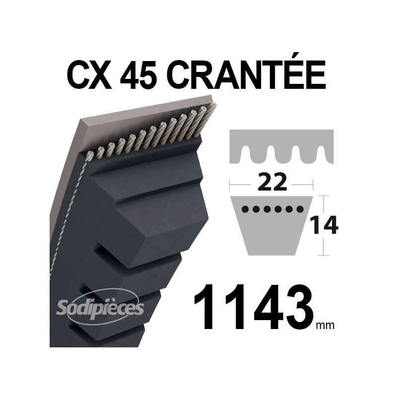 Courroie tondeuse CX45 Trapézoïdale 22 mm x 1143 mm.