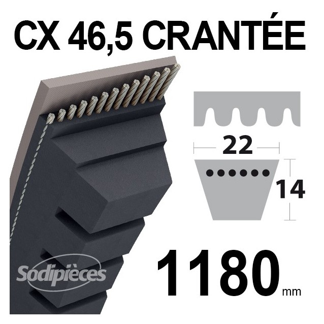 Courroie tondeuse CX46,5 Trapézoïdale 22 mm x 1180 mm.