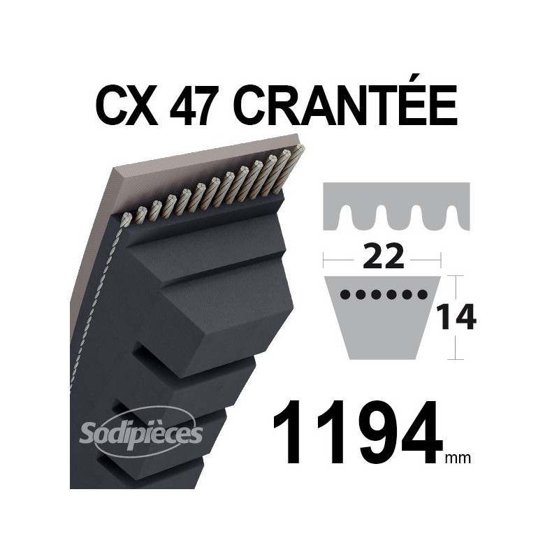 Courroie tondeuse CX47 Trapézoïdale 22 mm x 1194 mm.