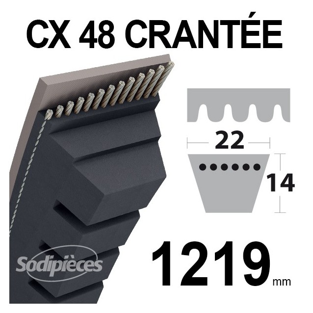 Courroie tondeuse CX48 Trapézoïdale 22 mm x 1219 mm.