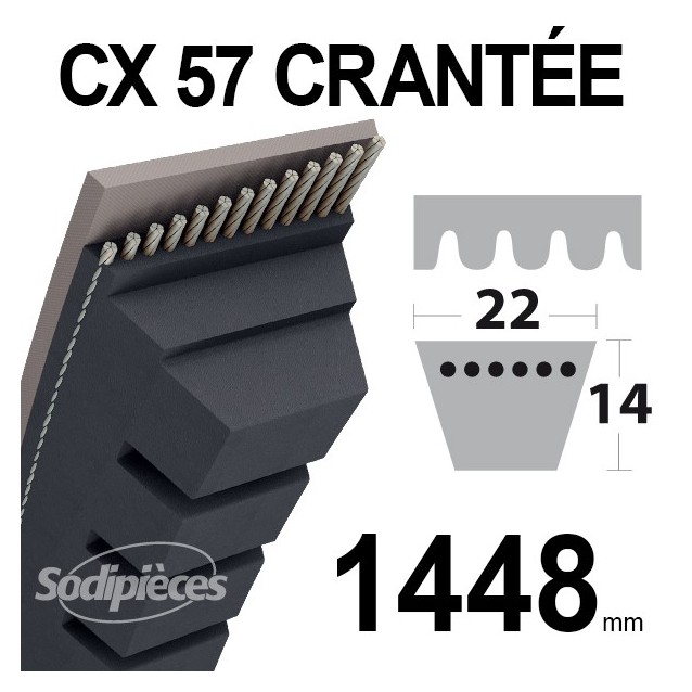 Courroie tondeuse CX57 Trapézoïdale 22 mm x 1448 mm.