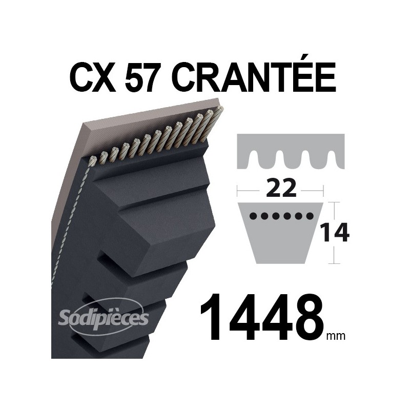 Courroie tondeuse CX57 Trapézoïdale 22 mm x 1448 mm.