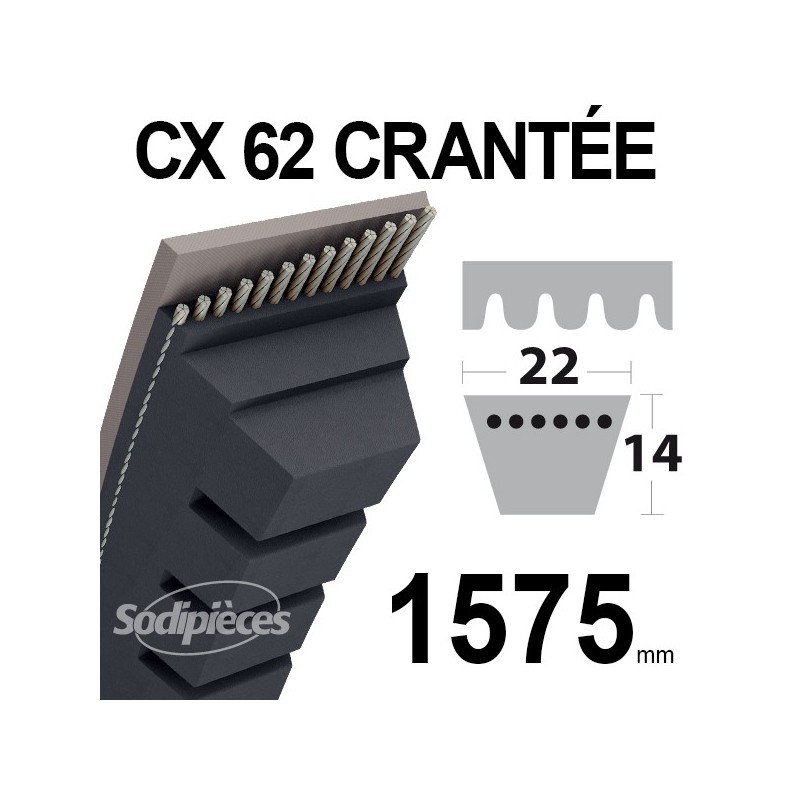 Courroie tondeuse CX62 Trapézoïdale 22 mm x 1575 mm.