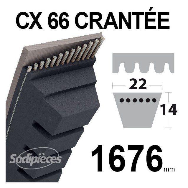Courroie tondeuse CX66 Trapézoïdale 22 mm x 1676 mm.