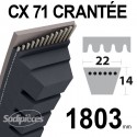 Courroie tondeuse CX71 Trapézoïdale 22 mm x 1803 mm.