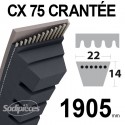 Courroie tondeuse CX75 Trapézoïdale 22 mm x 1905 mm.
