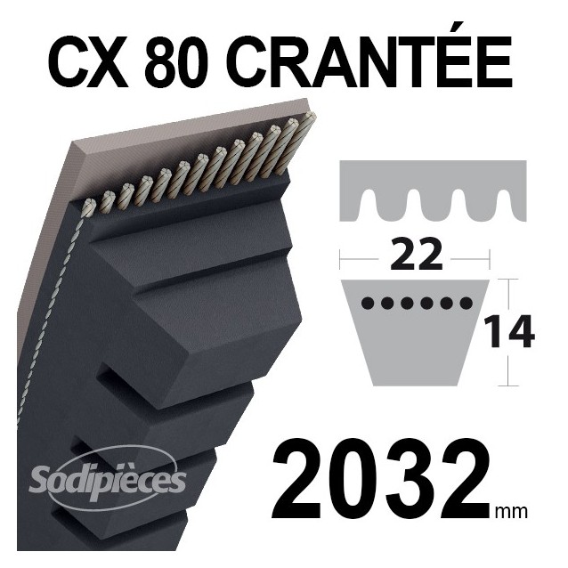 Courroie tondeuse CX80 Trapézoïdale 22 mm x 2032 mm.