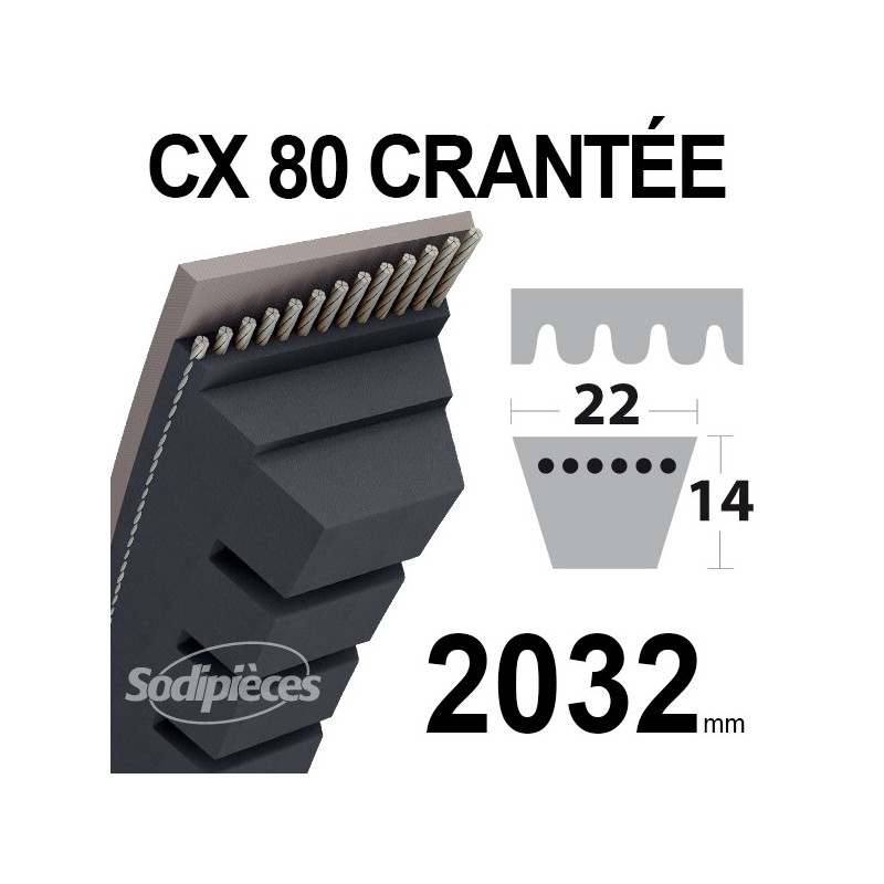 Courroie tondeuse CX80 Trapézoïdale 22 mm x 2032 mm.