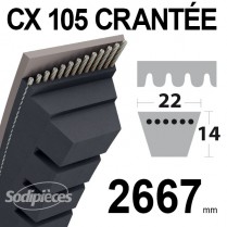 Courroie tondeuse CX105 Trapézoïdale 22 mm x 2667 mm.
