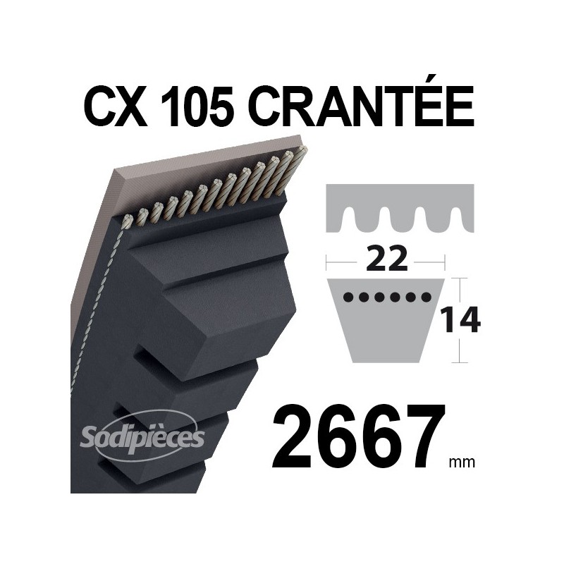 Courroie tondeuse CX105 Trapézoïdale 22 mm x 2667 mm.
