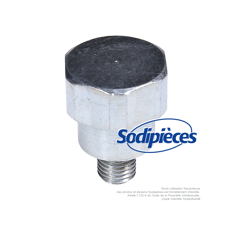 Adaptateur tête débroussailleuse M10 x 1,25 LHM pour Tecomec