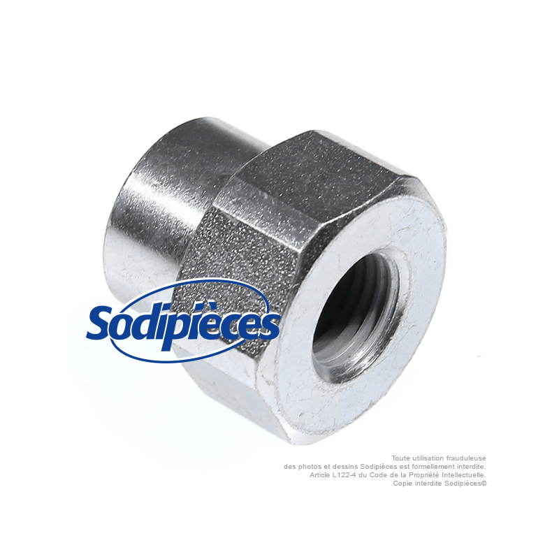 Adaptateur tête débroussailleuse M12 x 1,25 LHF pour Tecomec. Pour Xenoah