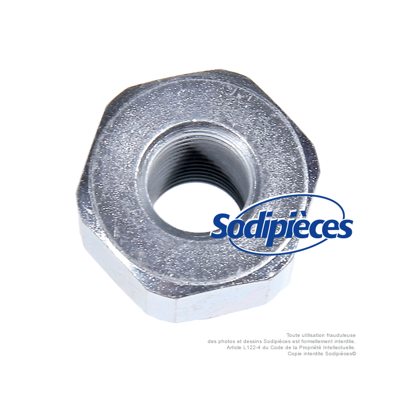 Adaptateur tête débroussailleuse M12 x 1,25 LHF pour Tecomec. Pour Xenoah