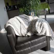 A partir de 450 € H.T : 1 plaid confort offert !