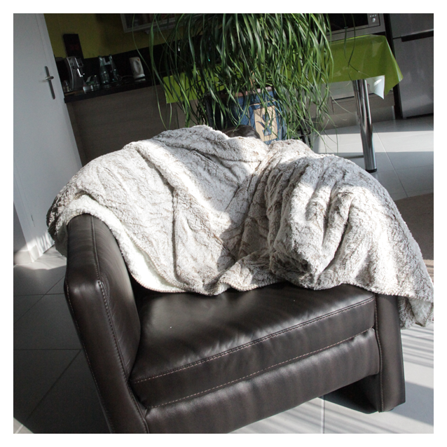 A partir de 450 € H.T : 1 plaid confort offert !