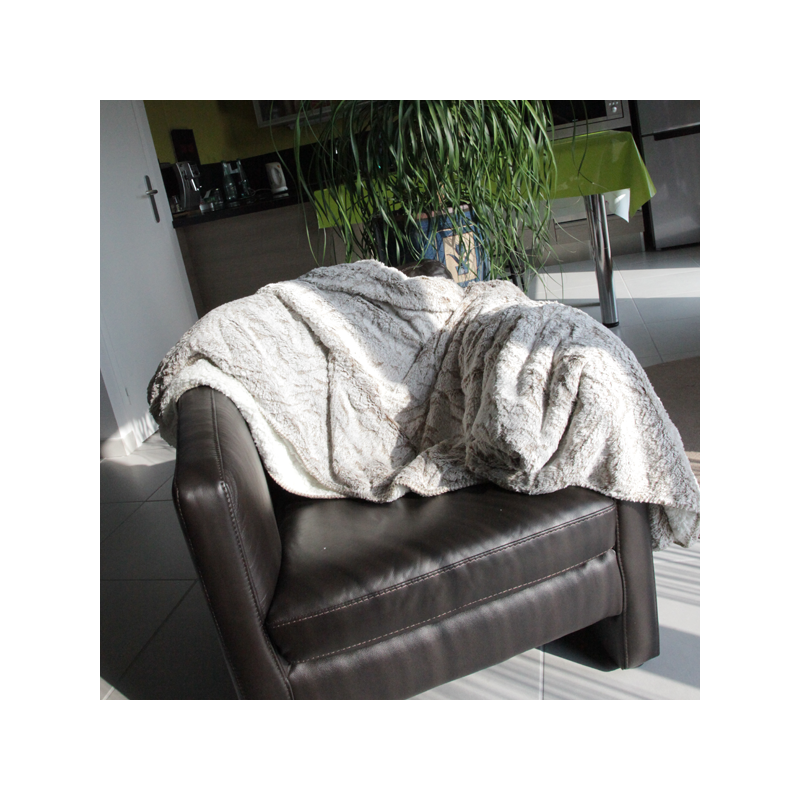 A partir de 450 € H.T : 1 plaid confort offert !