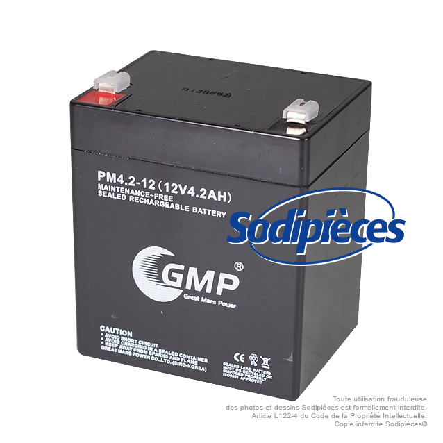 Batterie pour OREGON, PANASONIC