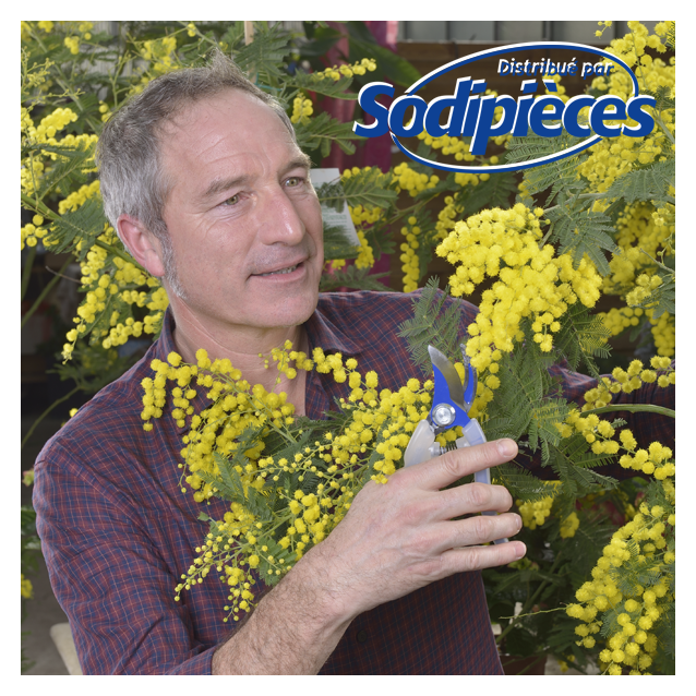 Présentoir sécateur Clarity Bahco Pradines. 12 sécateurs acier trempé. Rose, bleu, vert, orange