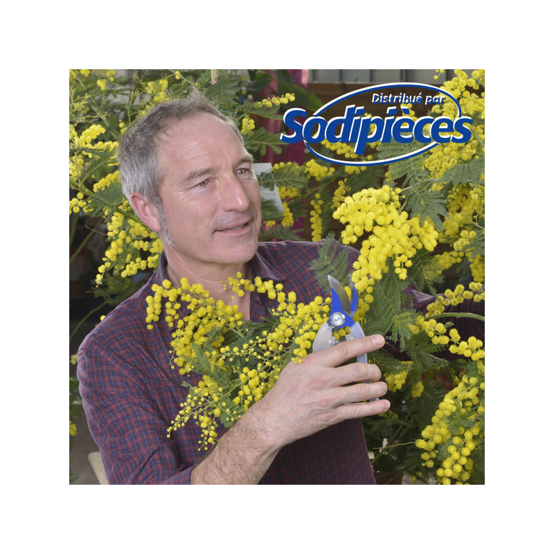 Présentoir sécateur Clarity Bahco Pradines. 12 sécateurs acier trempé. Rose, bleu, vert, orange