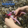 Sécateur acier trempé Clarity Bahco Pradines PG-05-Pink. 20 mm. Confort. Fabriqué en France