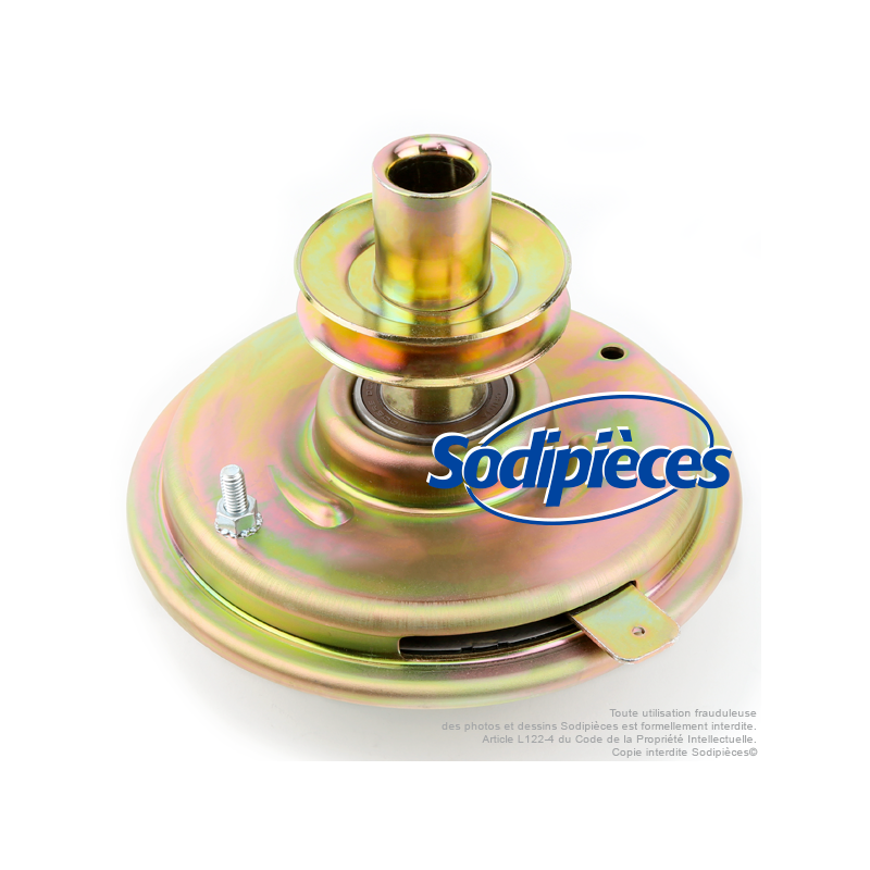 Embrayage de lame mécanique AYP 170163