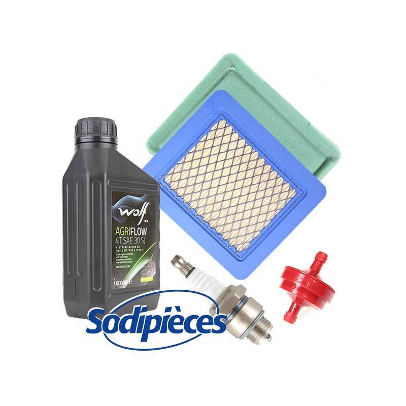 Filtre + préfiltre + bougie RocwooD + huile