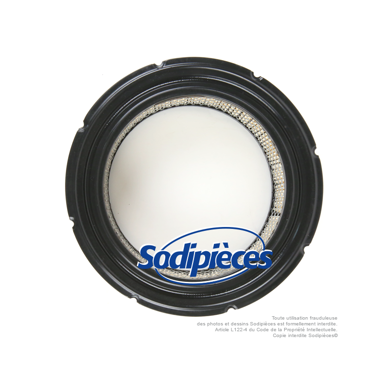 Filtre à air pour Briggs & Stratton 692519, 806232