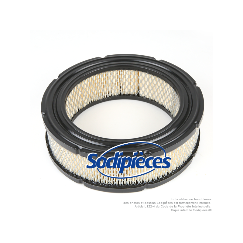 Filtre à air pour Briggs & Stratton 692519, 806232