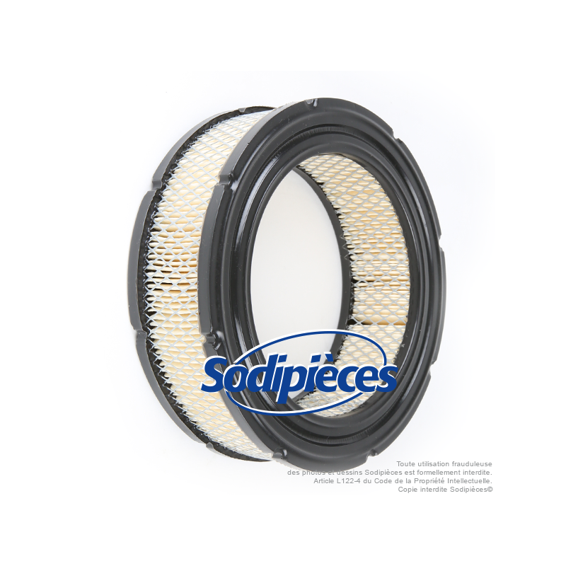 Filtre à air pour Briggs & Stratton 692519, 806232