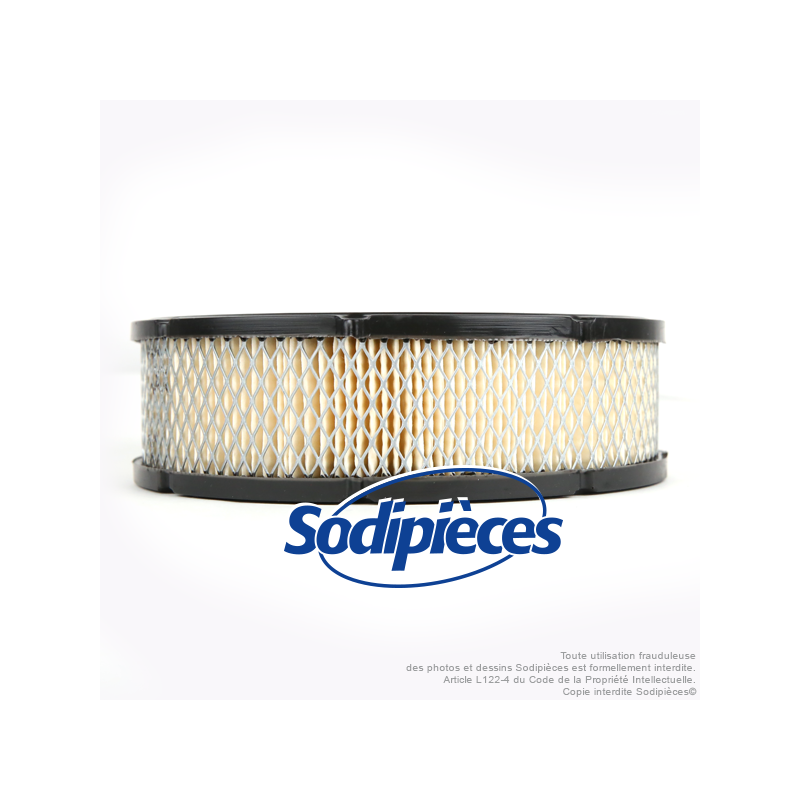 Filtre à air pour Briggs & Stratton 692519, 806232