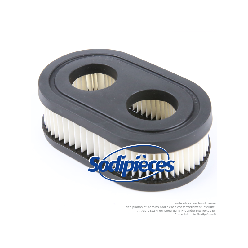 Filtre à air pour Briggs & Stratton 550 séries