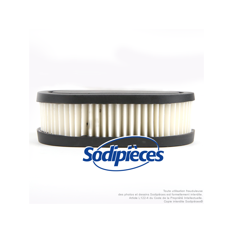Filtre à air pour Briggs & Stratton 550 séries