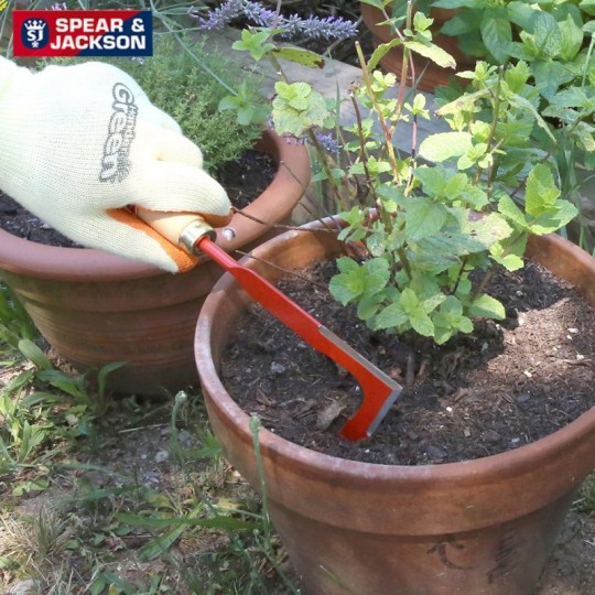 Couteau desherbeur Forges de Lavieu avec manche bois