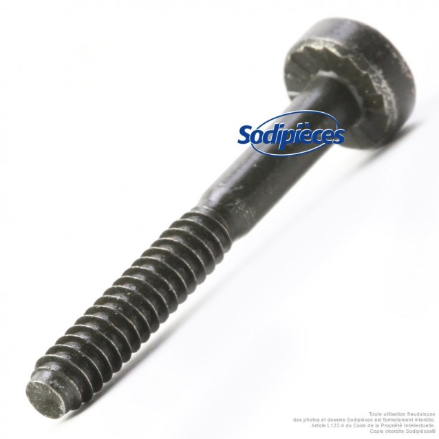 Vis 5,3 mm x 41 mm cylindre pour tronçonneuse Stihl 9075 478 4195 Vis 5,3 mm x 41 mm cylindre pour tronçonneuse Stihl 9075 478 4195
