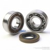 Roulement vilebrequin pour tronçonneuse Stihl 9503 003 0346 Roulement vilebrequin pour tronçonneuse Stihl 9503 003 0346