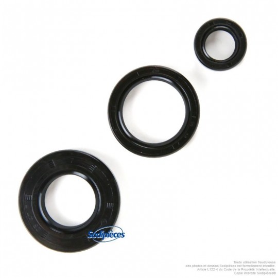 Kit joints pour tronçonneuse Stihl 1111 007 1050