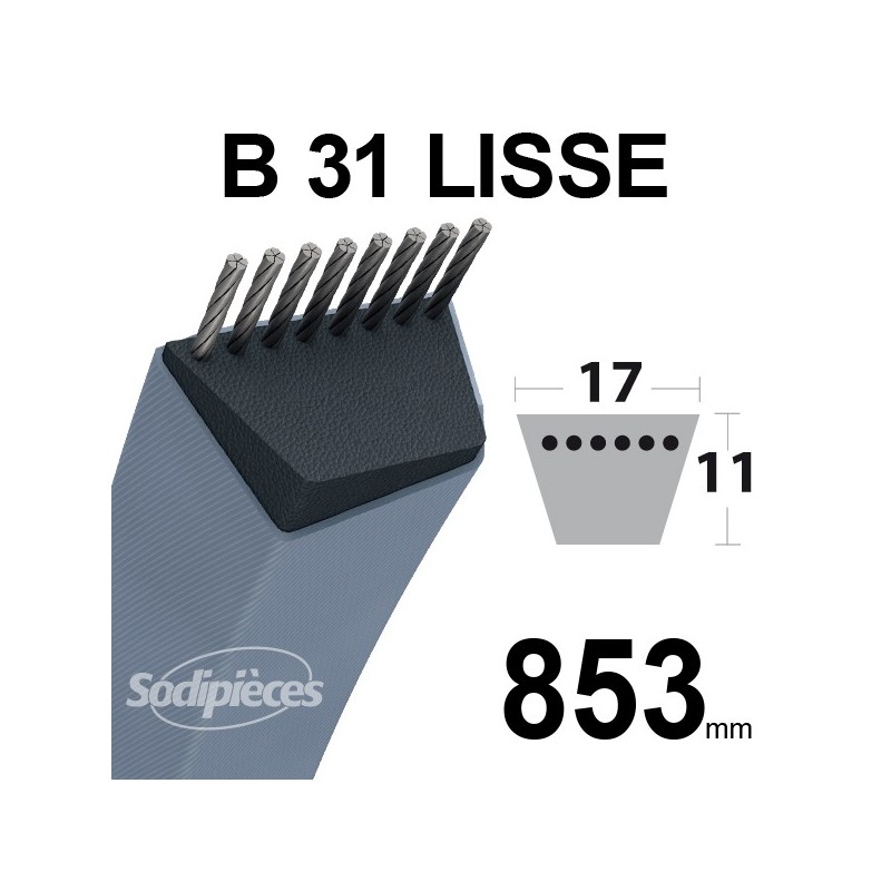 Courroie tondeuse B31 Trapézoïdale 17 mm x 853 mm
