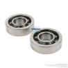 Roulements vilebrequin pour tronçonneuse Stihl 9523 003 4300 par 2 Roulements vilebrequin pour tronçonneuse Stihl 9523 003 4300 par 2