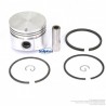 Jeu de segments N° 391 671, piston N° 391 675 pour Briggs & Stratton