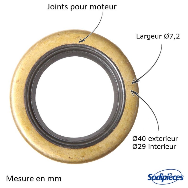 Joint spi pour B&S 391485-294167