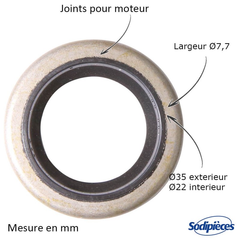 Joint spi pour B&S 391483-291841