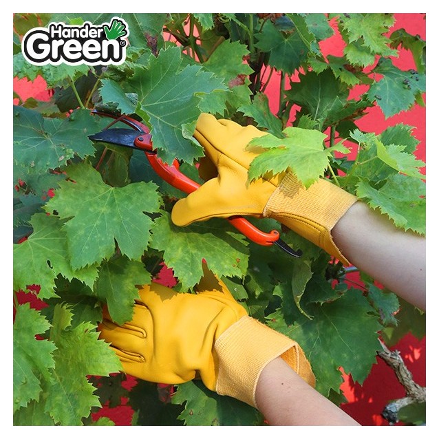 Gants jaune. Cuir et jardin. HanderGreen® T10