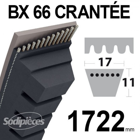 Courroie BX66 Trapézoïdale Crantée. 17 mm x 1743 mm.