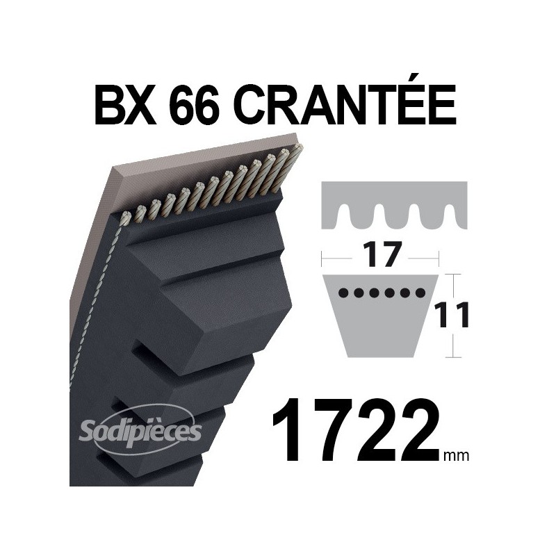 Courroie BX66 Trapézoïdale Crantée. 17 mm x 1743 mm.